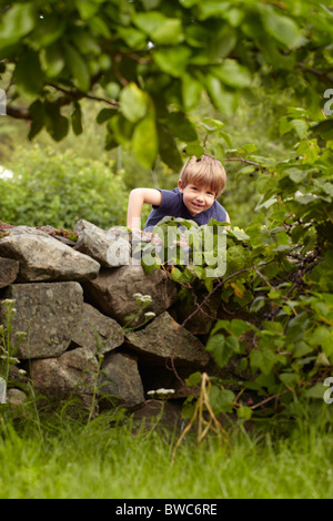 Jeune garçon escalade mur de pierre en verger Banque D'Images