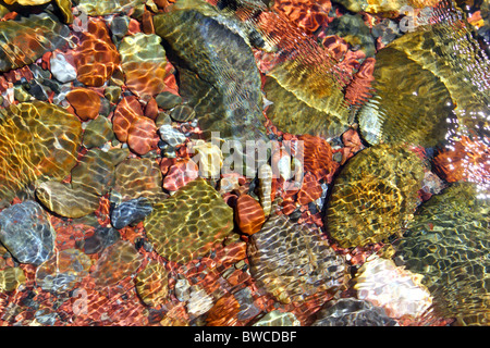 Fond de l'eau de la rivière Red Rocks flux transparence texture background Banque D'Images