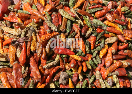 Piments colorés pour vente à la clé après marché, vallée de l'Omo, Ethiopie Banque D'Images