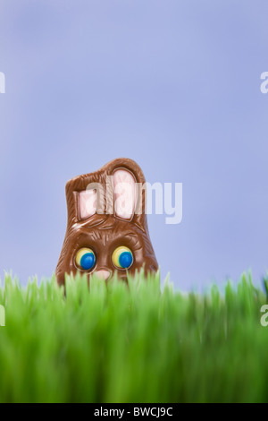 Studio shot of chocolate Easter Bunny in grass Banque D'Images