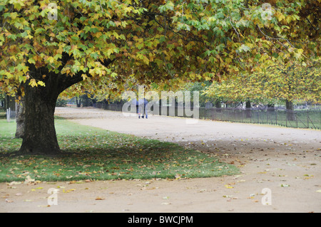 Couple avec parapluie marcher le long chemin de gravier en automne à Christ Church College, Oxford University, Oxford, UK Banque D'Images