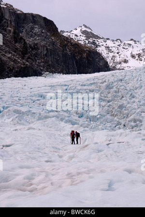 Randonneurs sur Frans Josef Glacier, île du Sud, Nouvelle-Zélande Banque D'Images