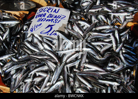 ISTANBUL, TURQUIE. Anchois fraîchement pêché à la vente à la criée (balikcisi) par la Corne d'or dans la région de Karakoy. 2010. Banque D'Images