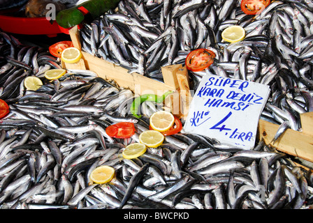 ISTANBUL, TURQUIE. Anchois fraîchement pêché à la vente à la criée (balikcisi) par la Corne d'or dans la région de Karakoy. 2010. Banque D'Images