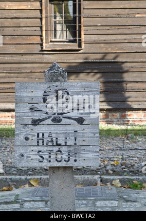 La ligne externe de clôtures de barbelés dans KL Auschwitz, qui était auparavant un camp nazi maintenant un musée Banque D'Images