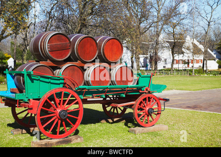 Des tonneaux de vin et panier en rez-de vin Blaauwklippen Estate, Stellenbosch, Western Cape, Afrique du Sud Banque D'Images