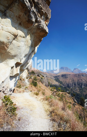 Sentier de randonnée à bord du Moine, réserve naturelle Parc Ukhahlamba-Drakensberg, KwaZulu-Natal, Afrique du Sud Banque D'Images