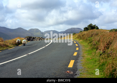 Killary, le Connemara, le comté de Galway, Irlande Banque D'Images