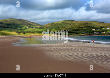 Ventry Harbour, péninsule de Dingle, comté de Kerry, Irlande Banque D'Images