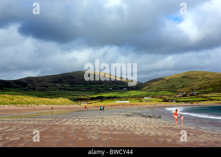 Ventry Harbour, péninsule de Dingle, comté de Kerry, Irlande Banque D'Images