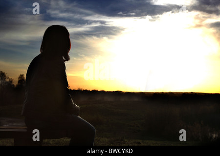 Vue arrière d'une femme assise à la recherche en vue d'un coucher du soleil Banque D'Images