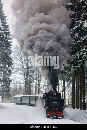 Train à vapeur, Oberwiesenthal - Cranzhal (Fichtelbergbahn), Allemagne Banque D'Images