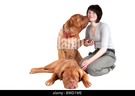 Grand dogue de Bordeaux en donnant un baiser à son maître Banque D'Images