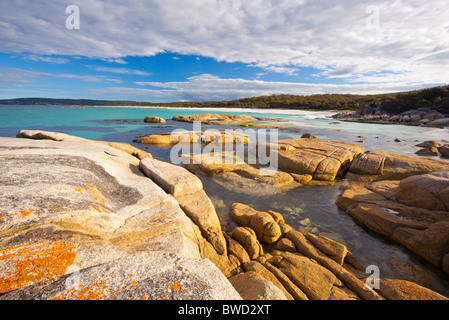 Des roches couvertes de lichen rouge au coin douillet dans la baie de forêt sur la côte est de Tasmanie Banque D'Images