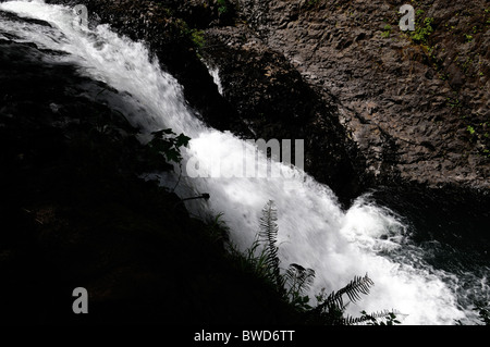 Drake falls Silver Falls State Park USA Oregon Trail de dix Falls Canyon Trail Banque D'Images