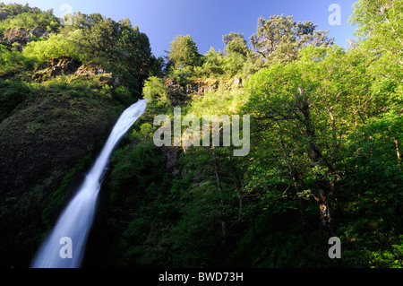 Chutes d'prêle Columbia River Gorge Historique de l'Oregon Columbia River Highway USA Banque D'Images