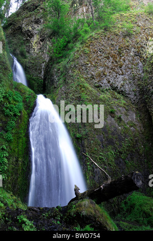 Chutes d'prêle Columbia River Gorge Historique de l'Oregon Columbia River Highway USA Banque D'Images