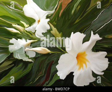 Image surréaliste d'un bouquet de fleurs de jasmin blanc. Banque D'Images