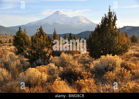 Le mont Shasta à l'automne Banque D'Images