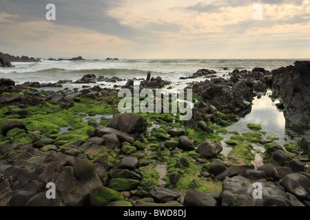 Duckpool, North Cornwall, England, UK Banque D'Images