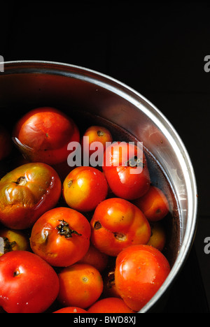 Tremper les tomates dans un bol d'eau Banque D'Images