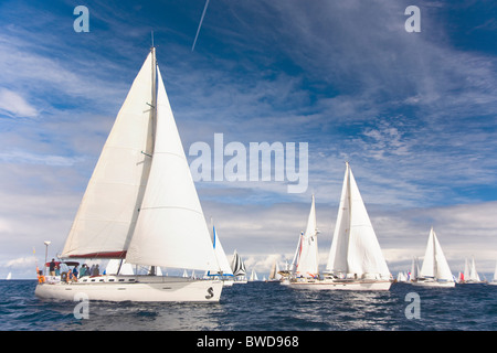 La 25e Atlantic Rally for Cruisers tournant entre Las Palmas et Sainte-Lucie dans les Caraïbes. Banque D'Images