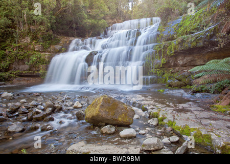 Charmante Liffey Falls au coeur d'une des forêts du nord de la Tasmanie Banque D'Images