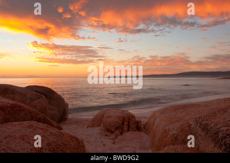 Lever de soleil sur des roches couvertes de lichen rouge au coin douillet dans la baie de forêt sur la côte est de Tasmanie Banque D'Images