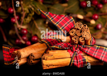 Bâtons de cannelle rougeoyante chaude enveloppée dans du ruban tartan pour Noël avec des baies rouges à l'arrière-plan. Banque D'Images