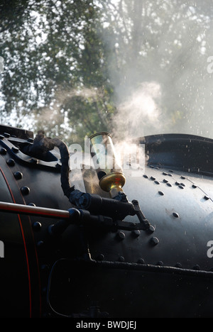 La dénonciation de la locomotive à vapeur 71000 Duc de Gloucester Banque D'Images