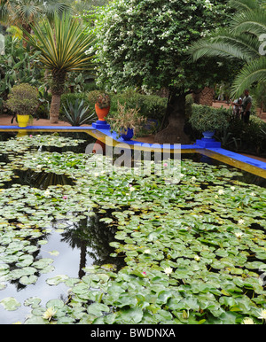 Jardins botaniques de Majorelle à Marrakech Maroc Banque D'Images