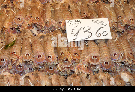 Crevettes Adriatique fine en vente dans la section des poissons du marché alimentaire du Rialto, à Venise, Italie. Banque D'Images
