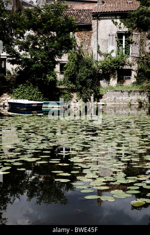 Scène rurale avec rivière, Vivonne, France Banque D'Images