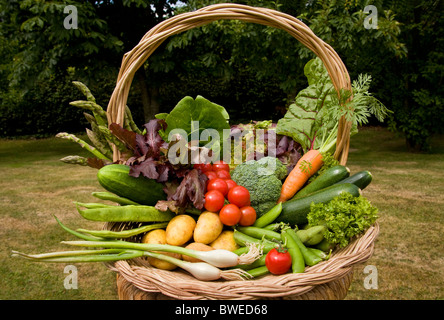 Panier trug colorés de produits locaux fraîchement cueilli de légumes d'été en pays jardin avec arbres dans le Weald of Kent UK Banque D'Images