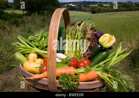 Trug coloré de légumes d'été britannique cultivés localement dans les champs paysage campagne woods Valley dans le Weald of Kent UK Banque D'Images