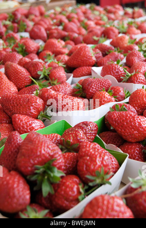 Barquettes de fraises en vente sur stand à Nice. Cote d'Azur. La France. Avec une profondeur de champ limitée focus Banque D'Images