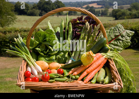 Trug coloré de légumes d'été britannique cultivés localement dans les champs paysage campagne woods Valley dans le Weald of Kent UK Banque D'Images