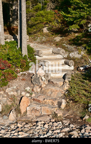 Sentier de randonnée pédestre à Ship Harbour, l'Acadia National Park, Maine, USA Banque D'Images