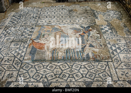 Volubilis, site archéologique romain au Maroc. Mosaïque de la déesse Diane se baignant dans la chambre de Vénus Banque D'Images