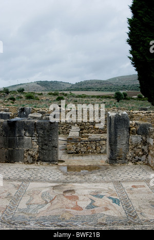 Volubilis, site archéologique romain au Maroc. Mosaïque de l'enlèvement d'HYLAS par les nymphes à la Chambre de Vénus Banque D'Images