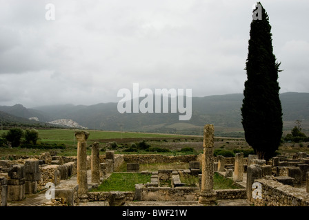 Volubilis, site archéologique romain au Maroc. La chambre de Vénus. Banque D'Images