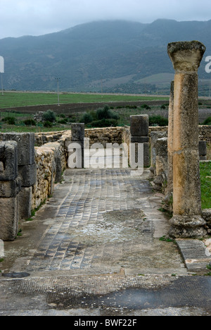 Volubilis, site archéologique romain au Maroc. Mosaïque. Banque D'Images