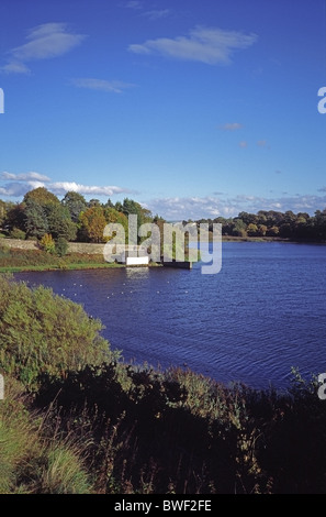 Duddingston Loch en automne, Édimbourg, Écosse Banque D'Images