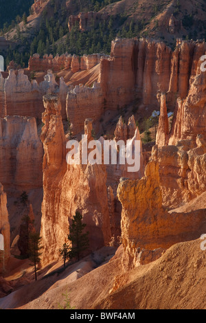 Les cheminées à Bryce Canyon National Park en Utah usa Banque D'Images