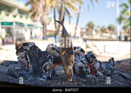 ESPETO ,poissons cuits au feu de bois avec du brochette Banque D'Images