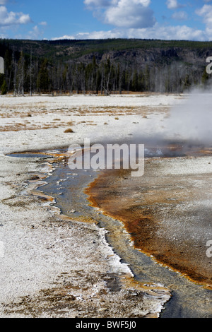 Fer à Repasser Hot spring Spring Creek dans le bassin de sable noir dans le Parc National de Yellowstone dans le Wyoming, United States Banque D'Images