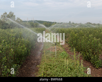 Pulvérisation irrigation au travail sur les cultures en a déposé près de Orange, France Banque D'Images