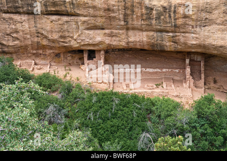 Temple du feu, d'une falaise de l'habitation les Amérindiens Pueblos ancestraux, environ 1250 ans, Mesa Verde National Park Banque D'Images