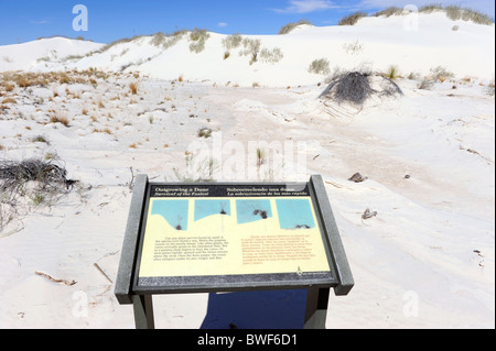 L'étude de la nature Salon White Sands National Monument Nouveau Mexique Banque D'Images