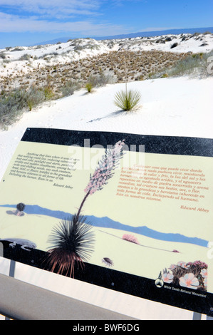 L'étude de la nature Salon White Sands National Monument Nouveau Mexique Banque D'Images